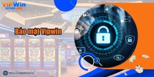 Bảo Mật Vipwin – Không Gian Trải Nghiệm Cá Cược An Toàn, Chất Lượng