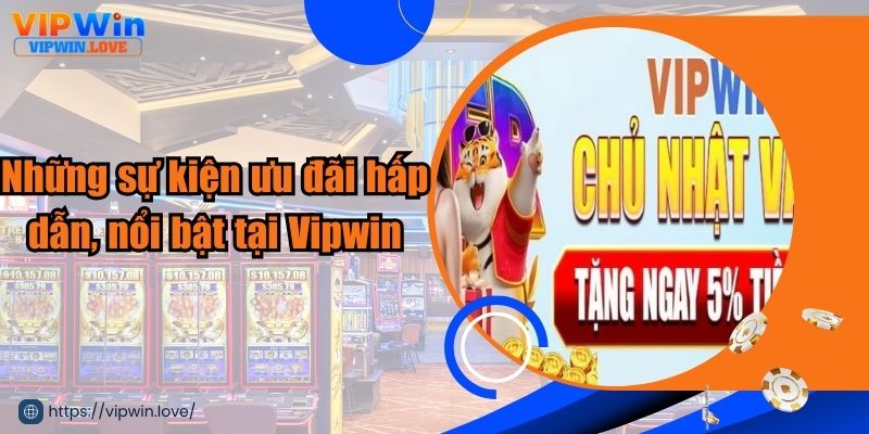 Các sự kiện khuyến mãi hấp dẫn, đặc biệt tại nhà cái Vipwin