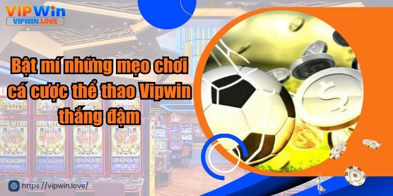 Chia sẻ những mẹo chơi cá cược thể thao Vipwin dễ thắng dành cho bet thủ